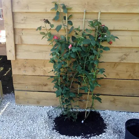 Le Douillet Saint-Geniès